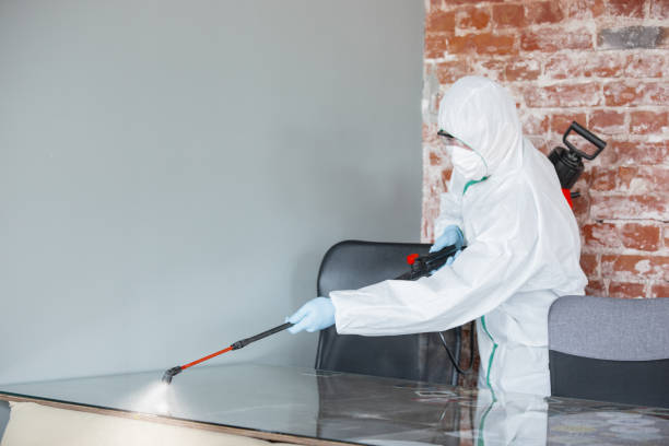  Gold Beach, OR Mold Removal Services Pros